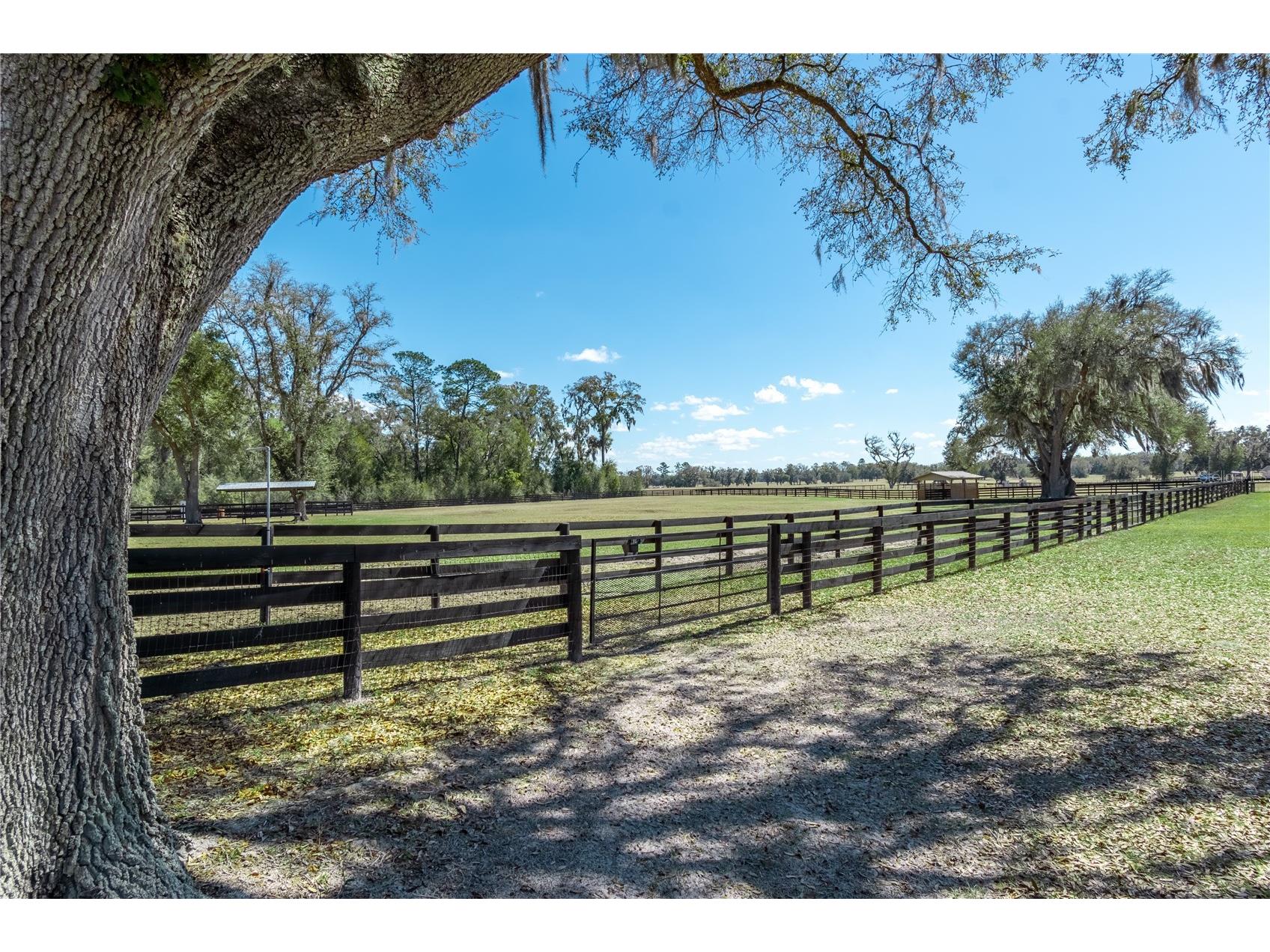 4700 NW 157th Court Morriston FL 32668 OM719562 image82