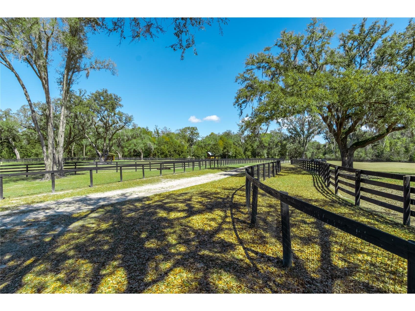 4700 NW 157th Court Morriston FL 32668 OM719562 image83