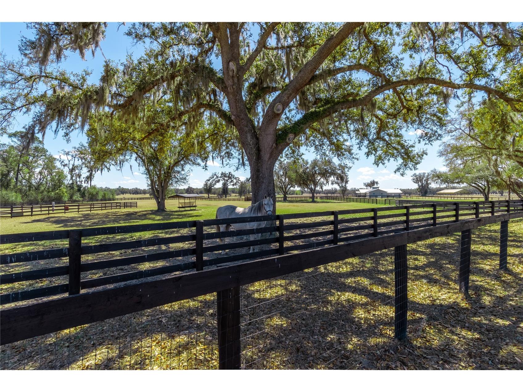 4700 NW 157th Court Morriston FL 32668 OM719562 image85