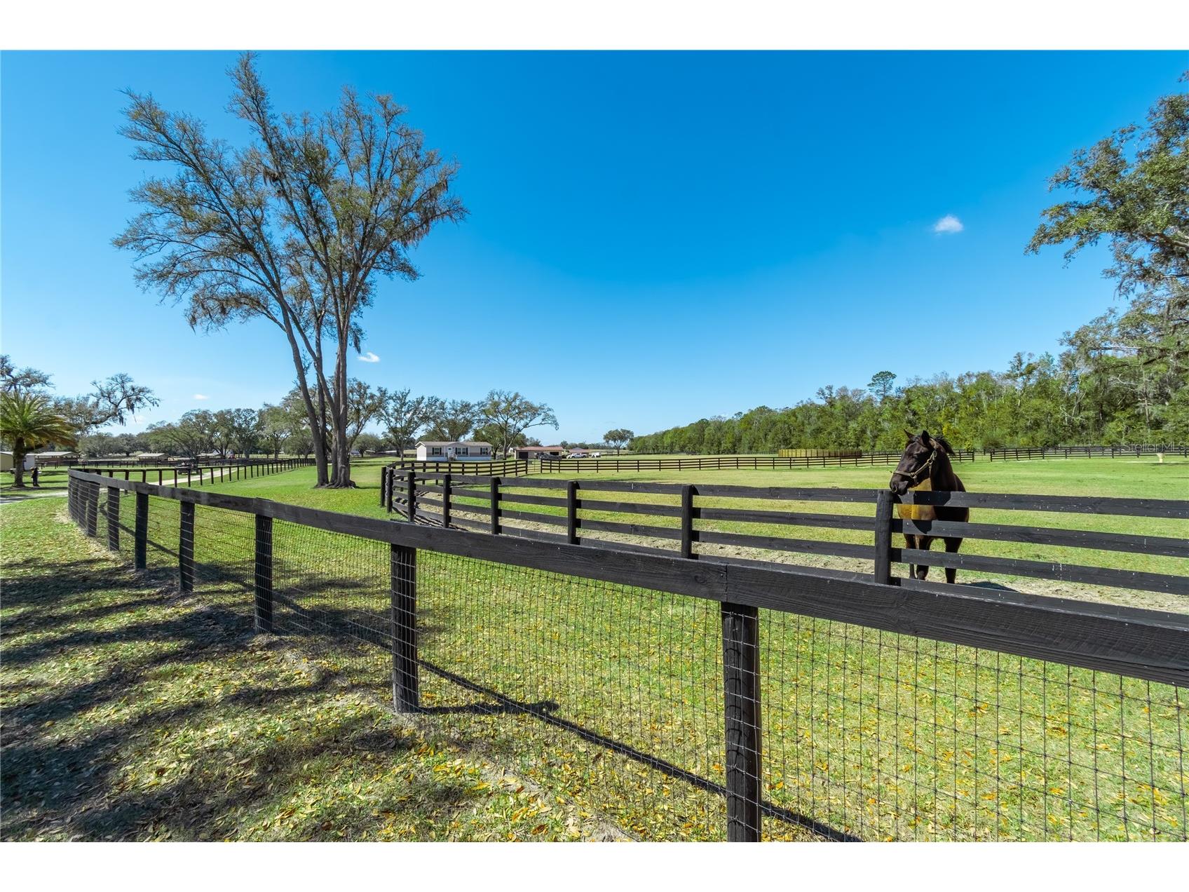 4700 NW 157th Court Morriston FL 32668 OM719562 image86