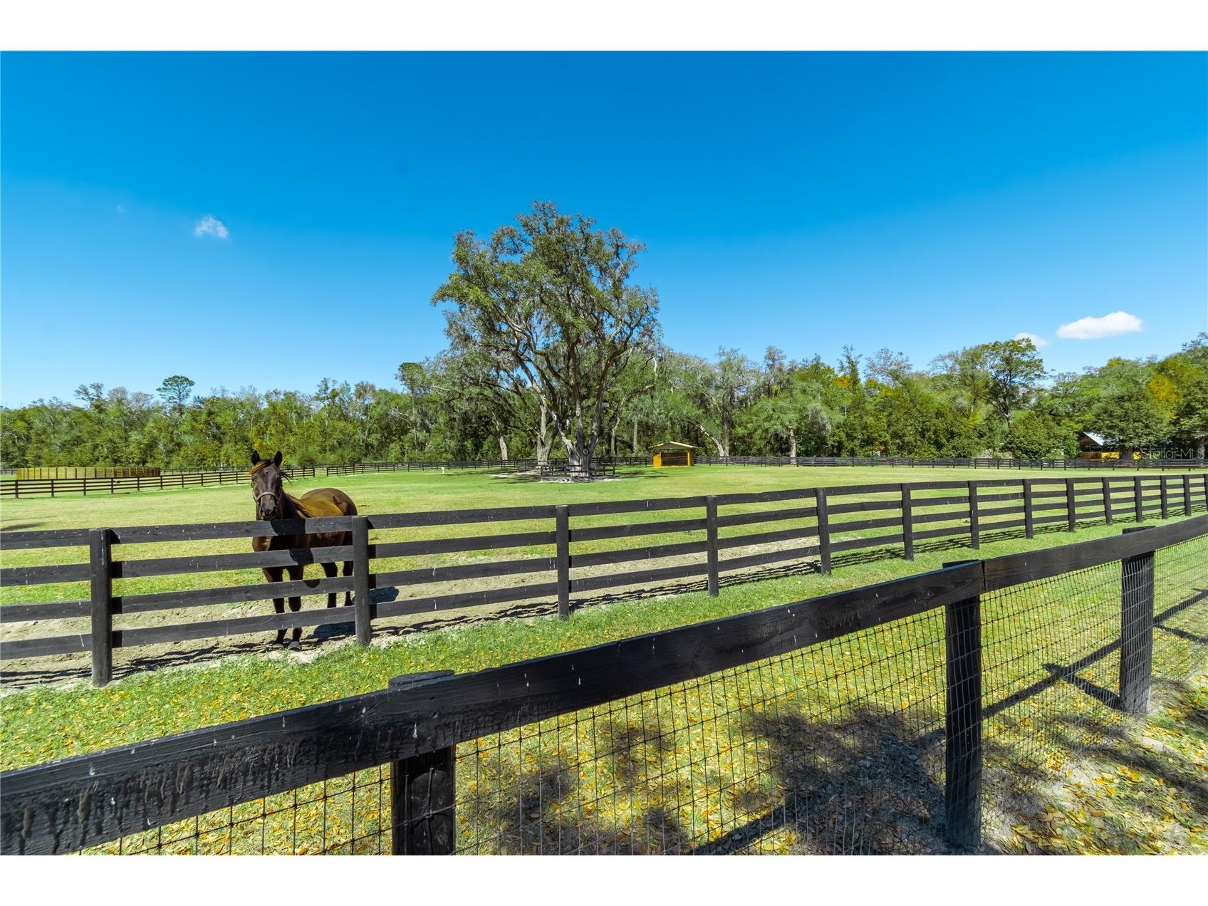 4700 NW 157th Court Morriston FL 32668 OM719562 image87