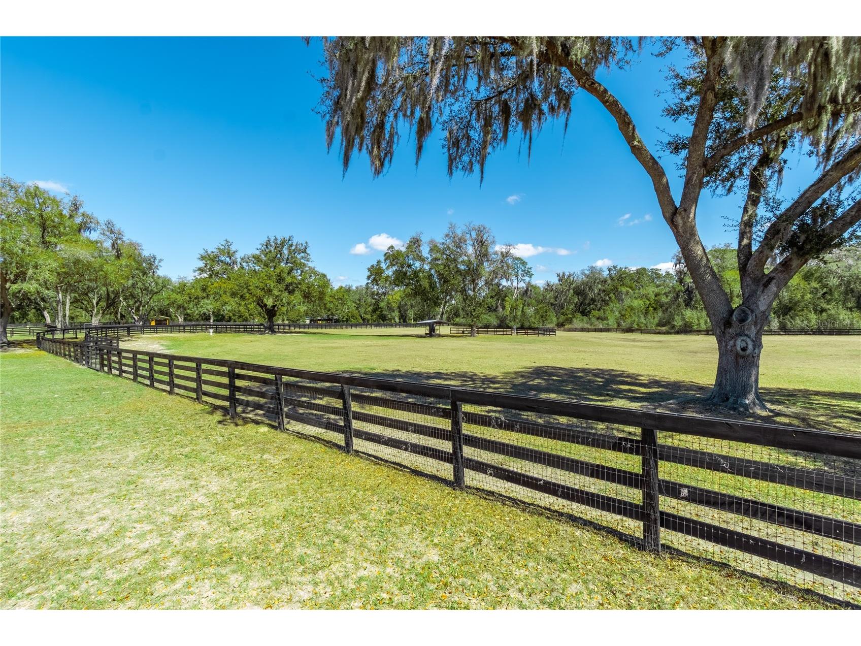 4700 NW 157th Court Morriston FL 32668 OM719562 image88