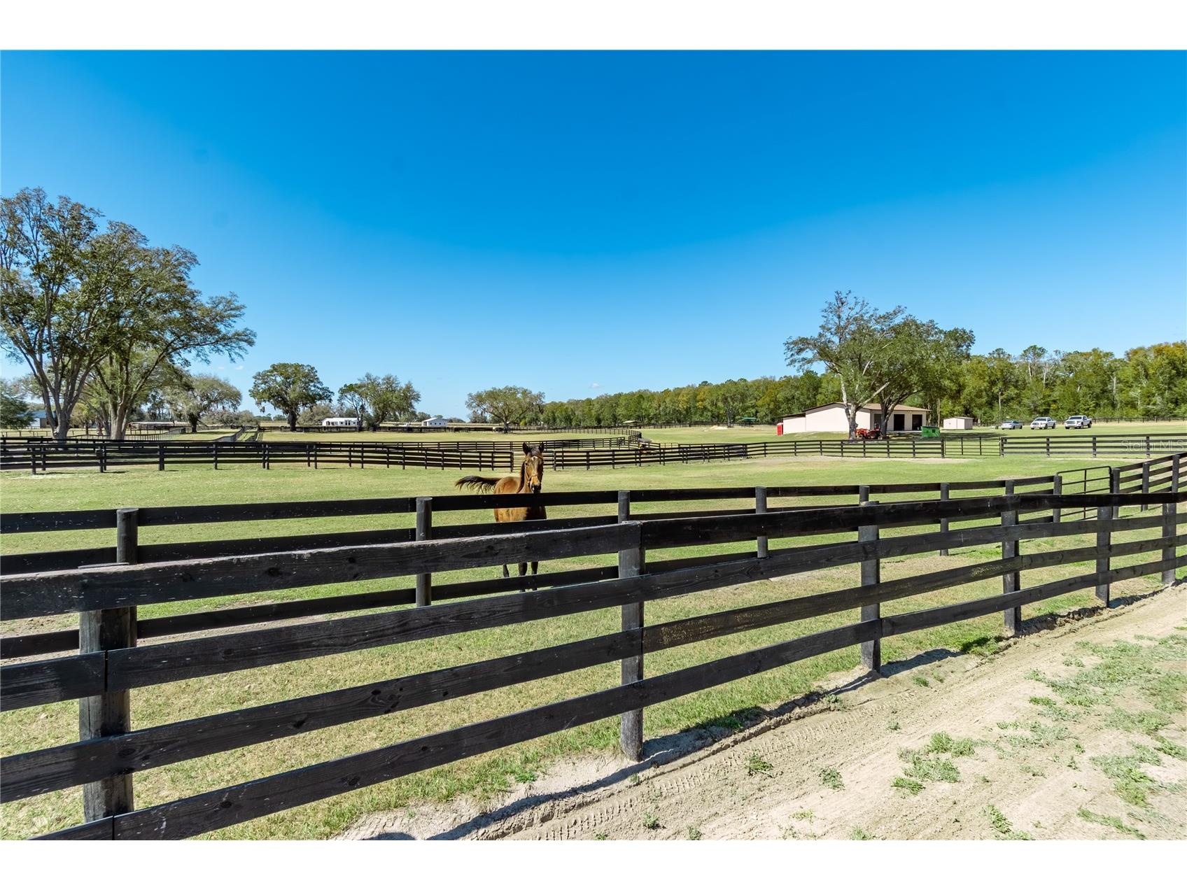 4700 NW 157th Court Morriston FL 32668 OM719562 image89