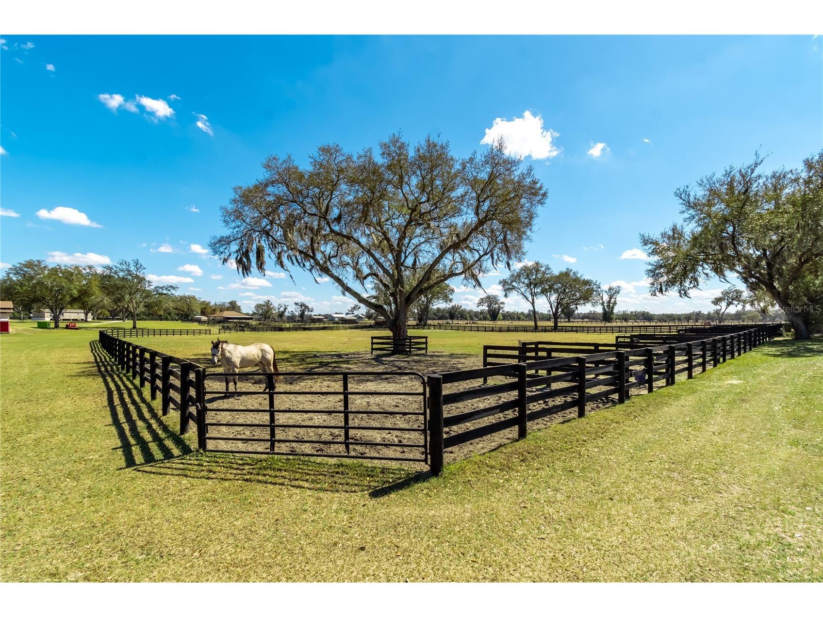 4700 NW 157th Court Morriston FL 32668 OM719562 image92