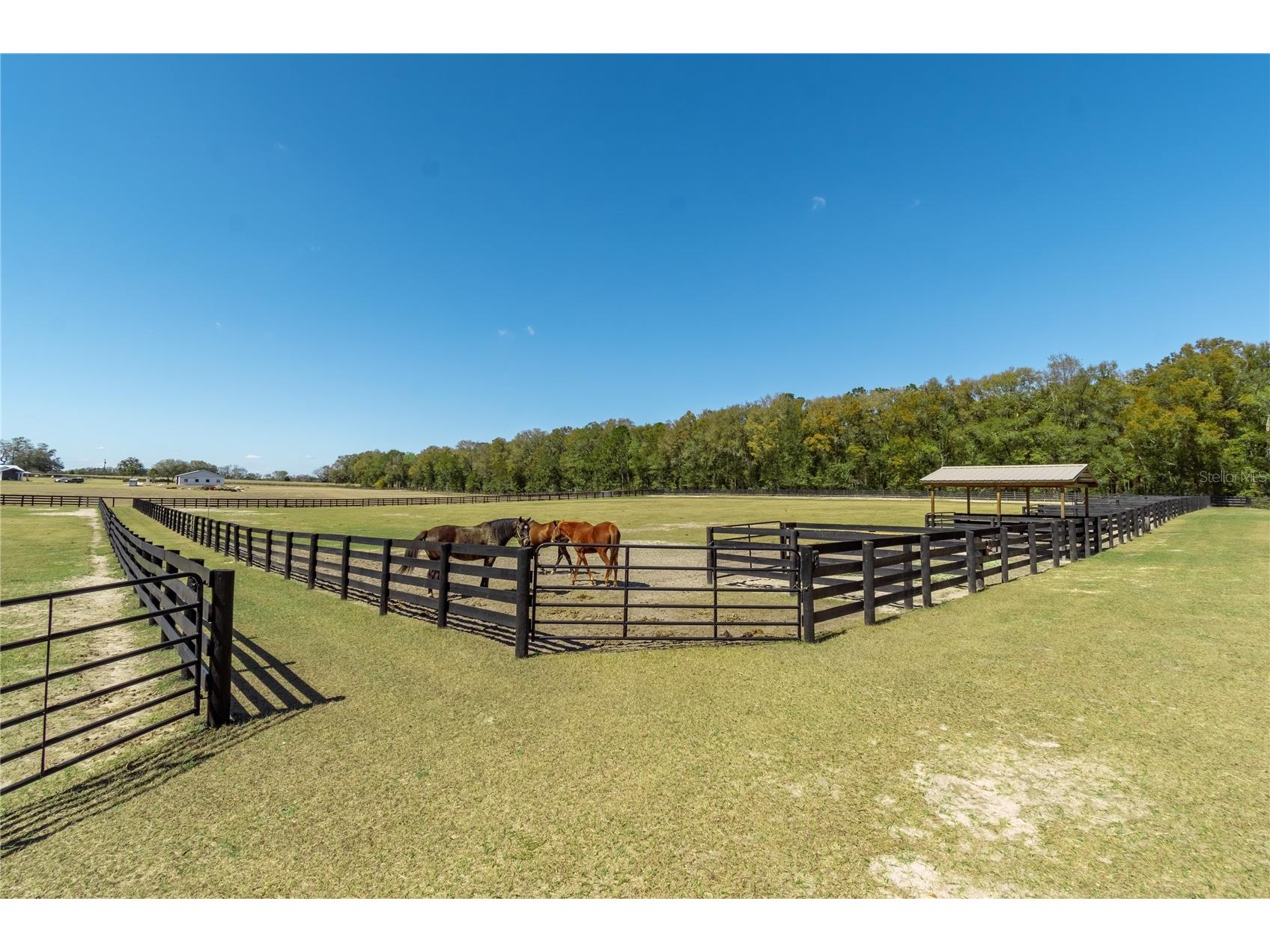 4700 NW 157th Court Morriston FL 32668 OM719562 image93