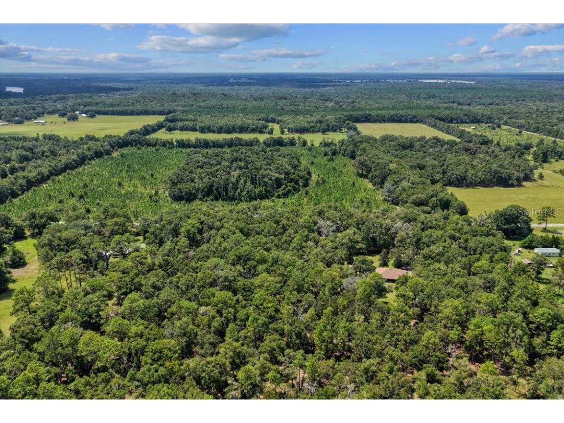 4700 NW 55th Avenue Bell FL 32619 GC533859 image31