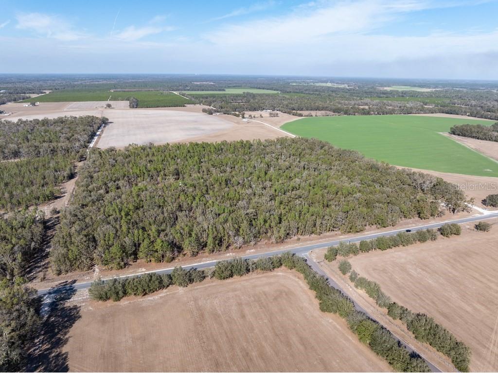 4700 NW County Road 340 Bell FL 32619 GC533726 image12