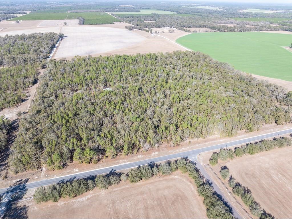4700 NW County Road 340 Bell FL 32619 GC533726 image13