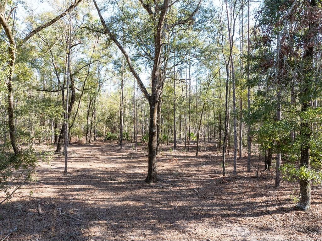 4700 NW County Road 340 Bell FL 32619 GC533726 image16