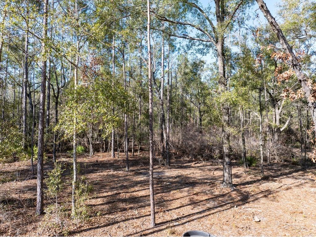 4700 NW County Road 340 Bell FL 32619 GC533726 image18