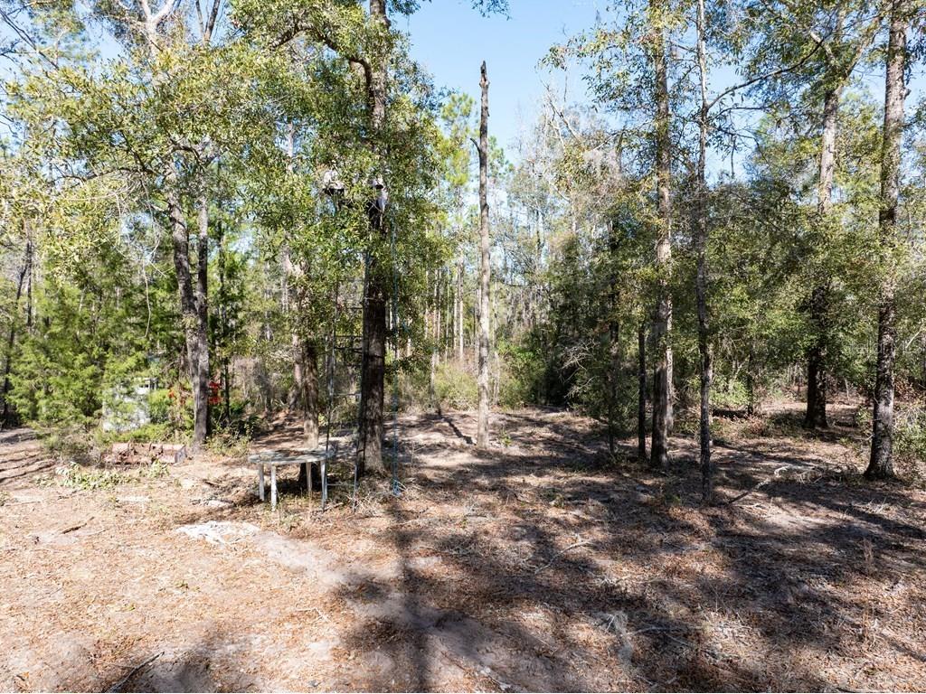 4700 NW County Road 340 Bell FL 32619 GC533726 image19