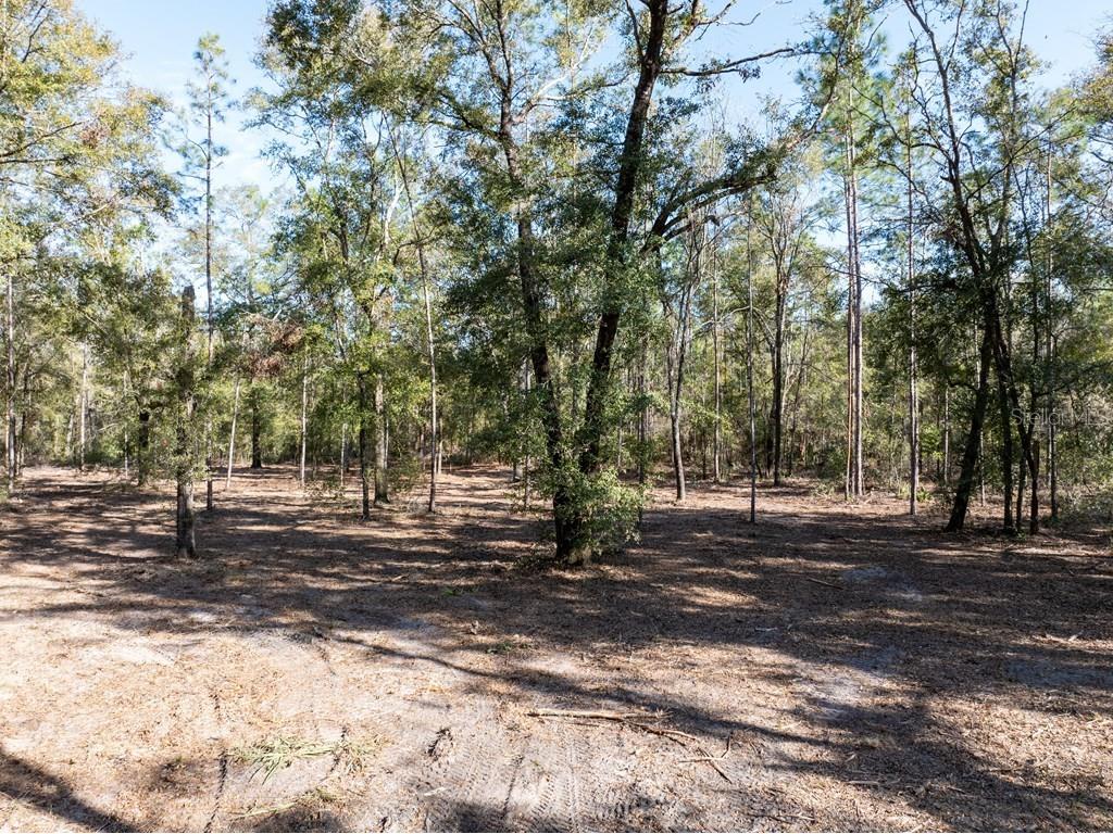 4700 NW County Road 340 Bell FL 32619 GC533726 image20