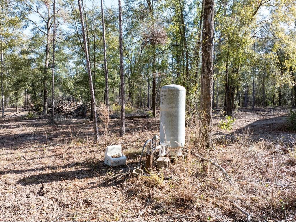 4700 NW County Road 340 Bell FL 32619 GC533726 image8