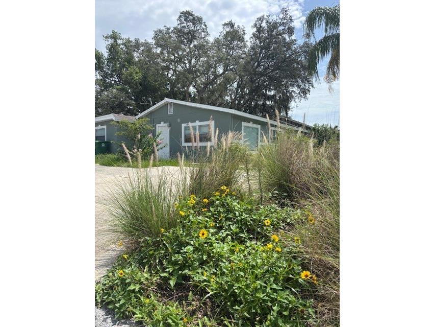 4700 Serena Drive Tampa FL 33617 TB8407127 image1