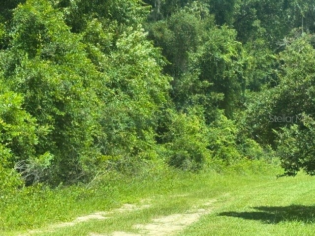 4700 SW 36th Street Ocala FL 34474 OM728117 image9