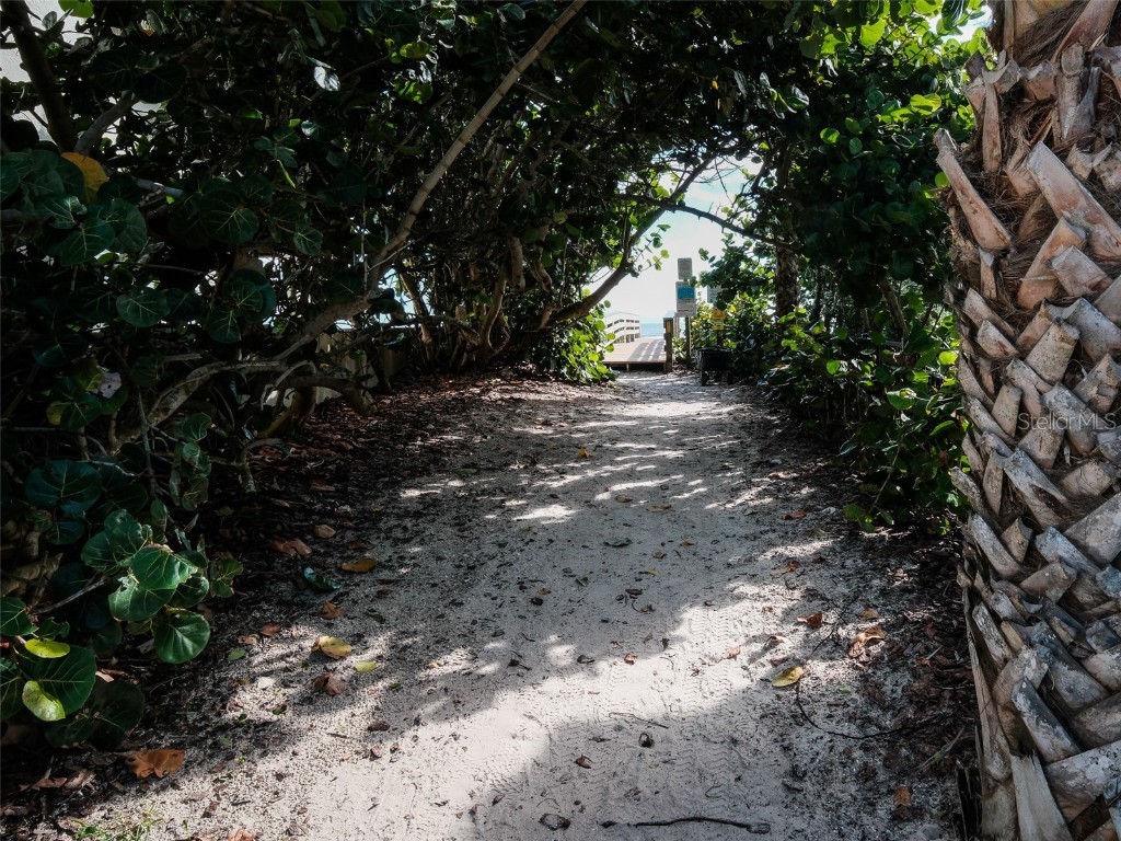 4700 Van Kleeck Drive New Smyrna Beach FL 32169 NS1085893 image58