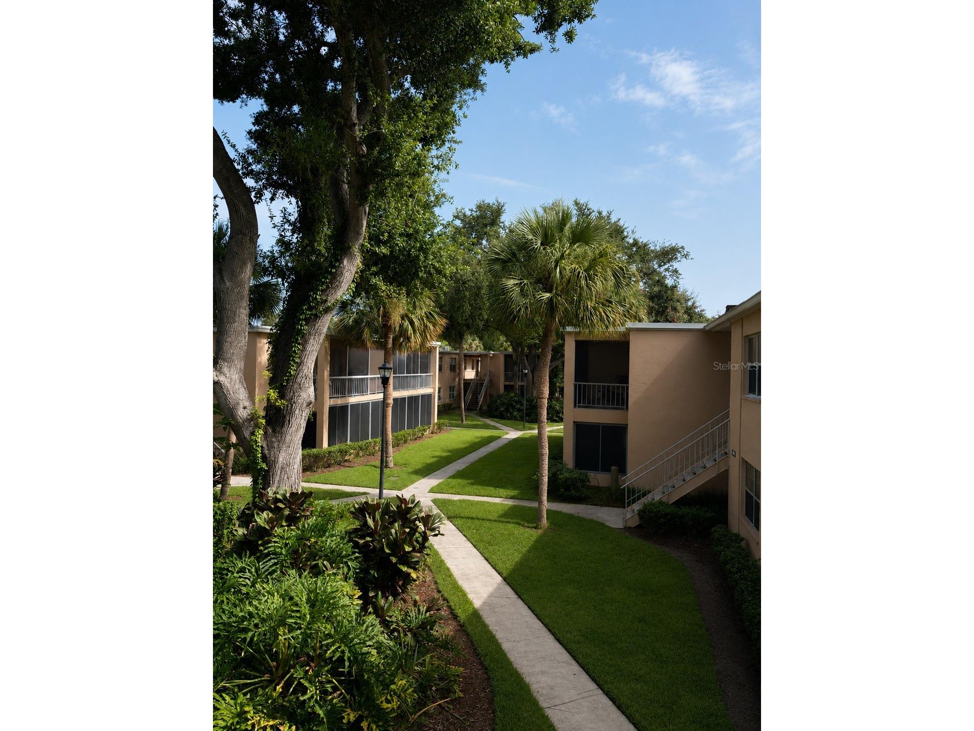 4701 Christa Court #341 Tampa FL 33614 TB8529540 image2
