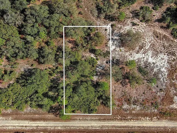 4701 Karen Avenue S Lehigh Acres FL 33976 O6344778 image3