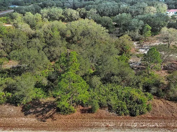 4701 Karen Avenue S Lehigh Acres FL 33976 O6344778 image5