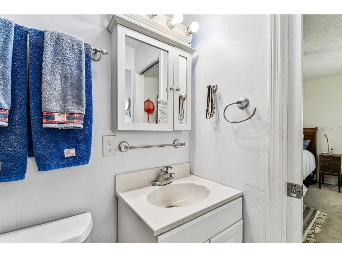 4701 Lodestone Drive Tampa FL 33615 TB8438275 image29