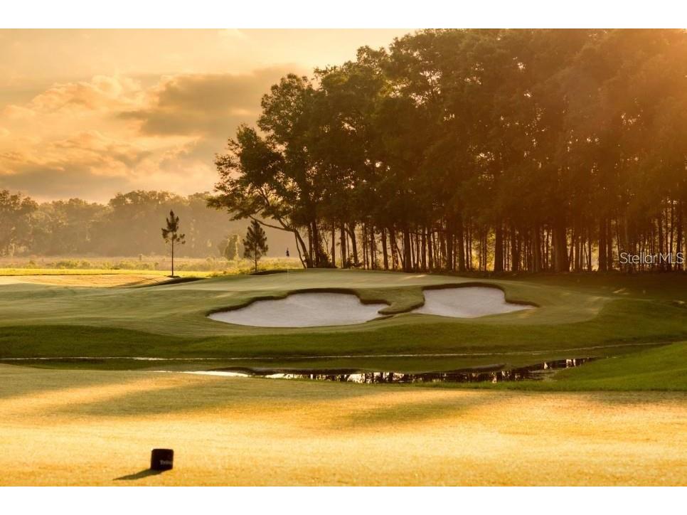 4701 NW 51st Terrace Road Ocala FL 34482 - REFLECTION LAKE OM709108 image37