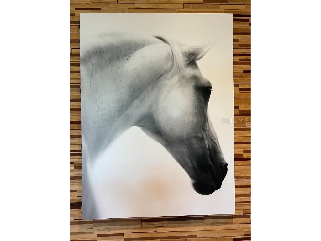 4701 NW 51st Terrace Road Ocala FL 34482 - REFLECTION LAKE OM709108 image47