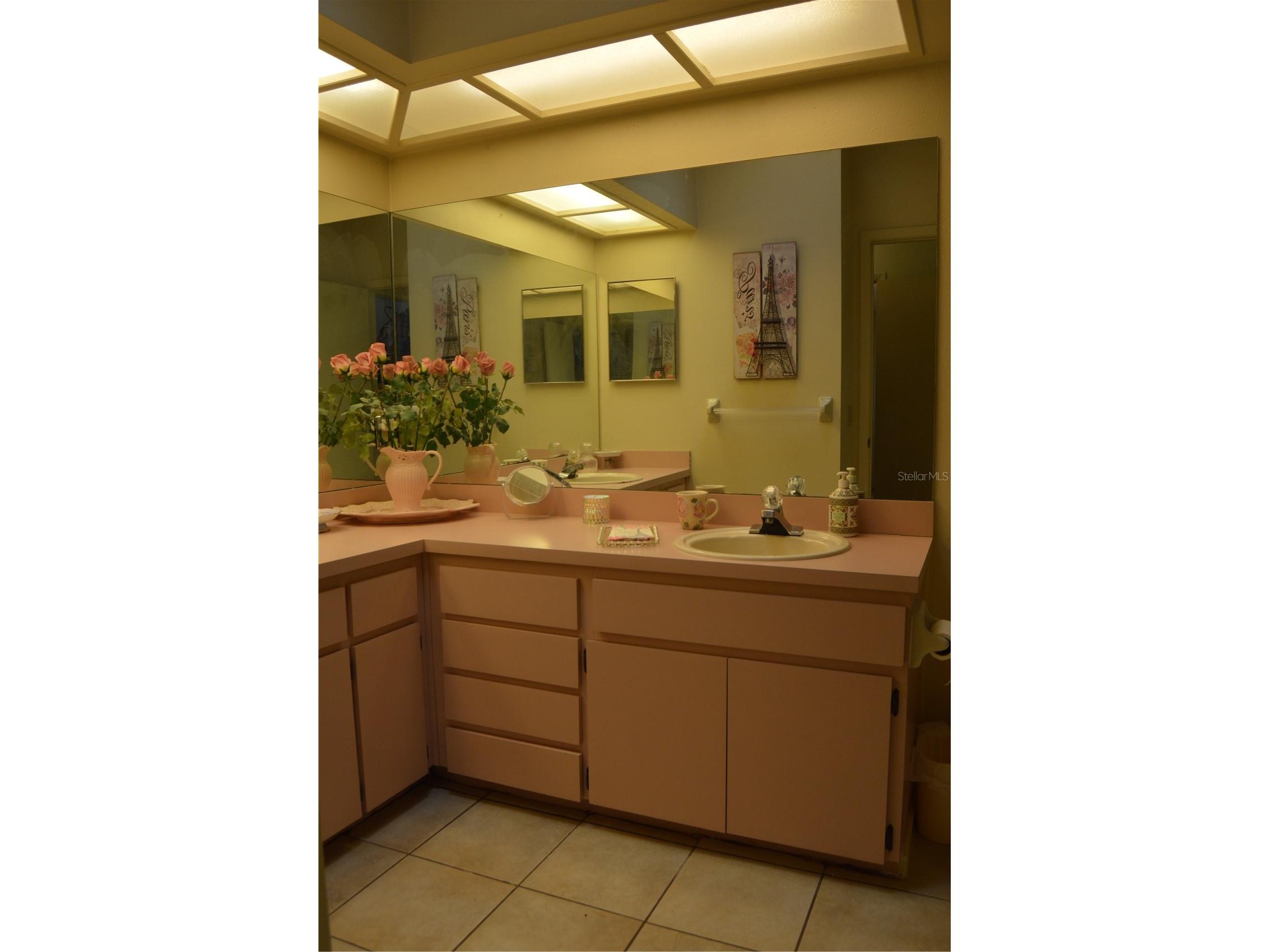 4701 Wallingford Court #4701 New Port Richey FL 34655 W7884041 image19