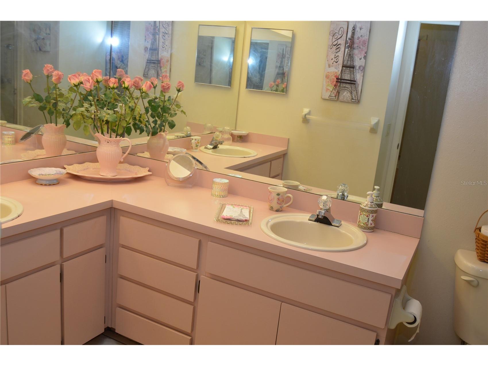 4701 Wallingford Court #4701 New Port Richey FL 34655 W7884041 image21