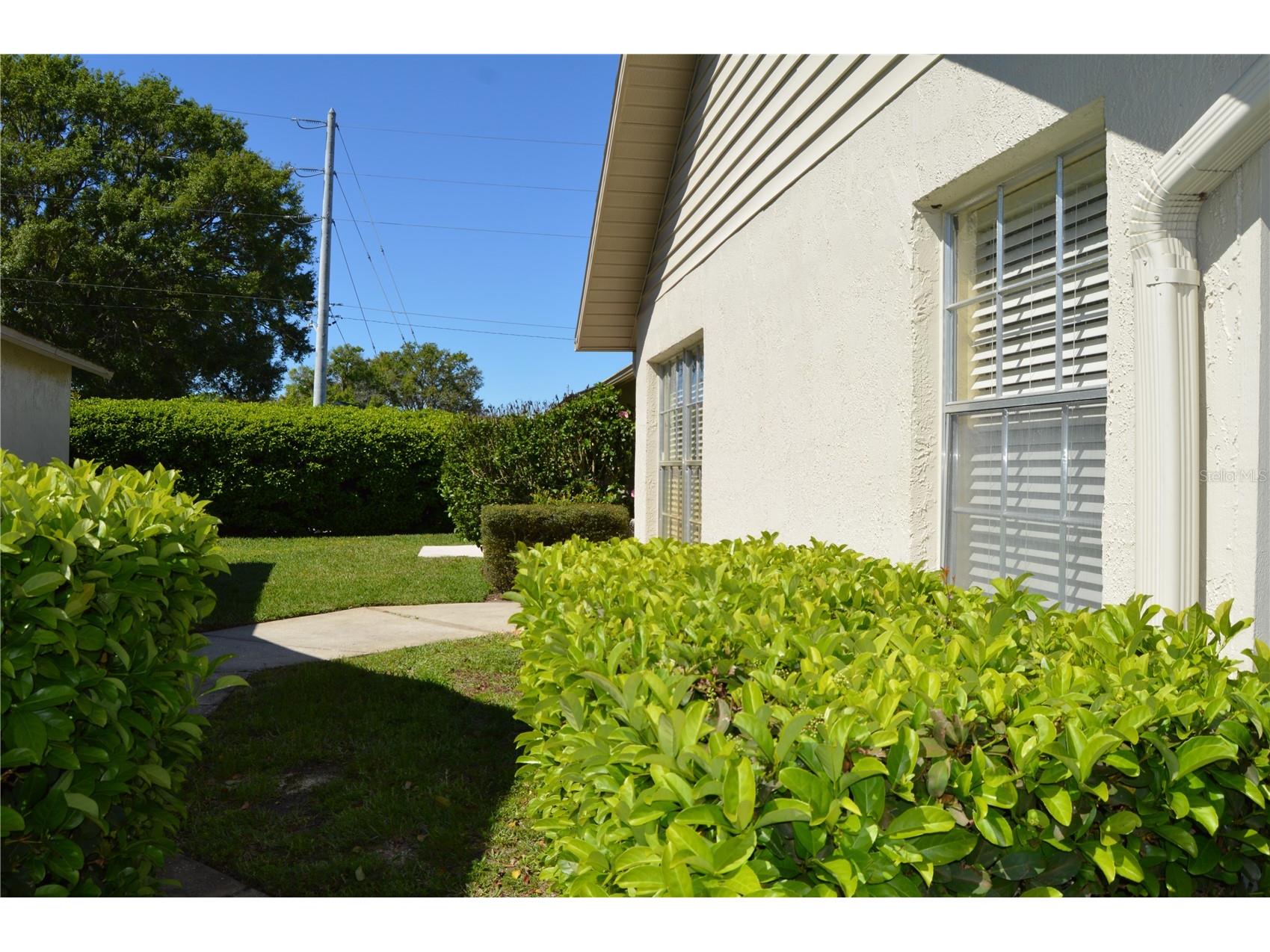 4701 Wallingford Court #4701 New Port Richey FL 34655 W7884041 image4