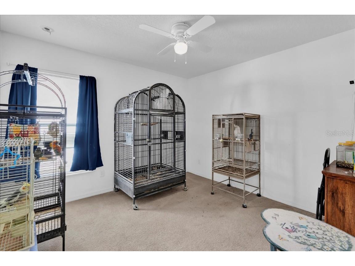 4702 Ashurst Street Kissimmee FL 34758 S5119492 image14