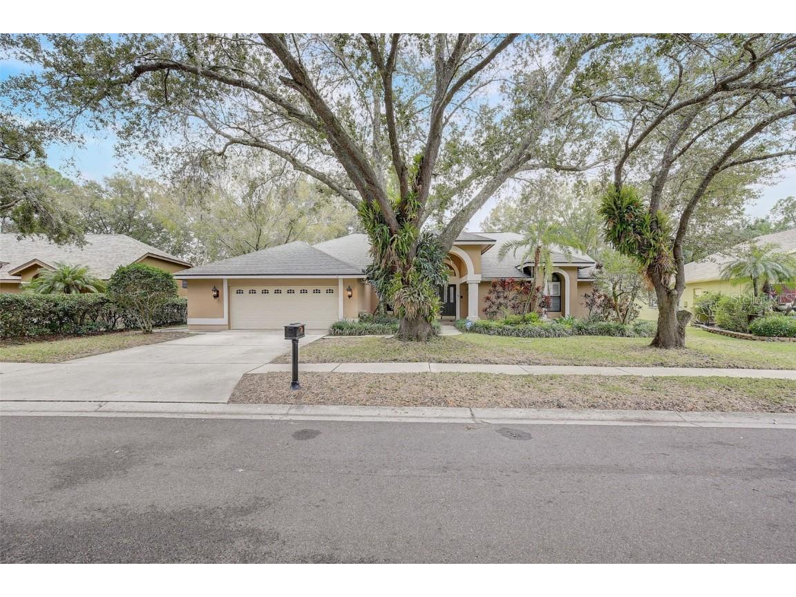 4702 Brayton Terrace S Palm Harbor FL 34685 U8227472 image1
