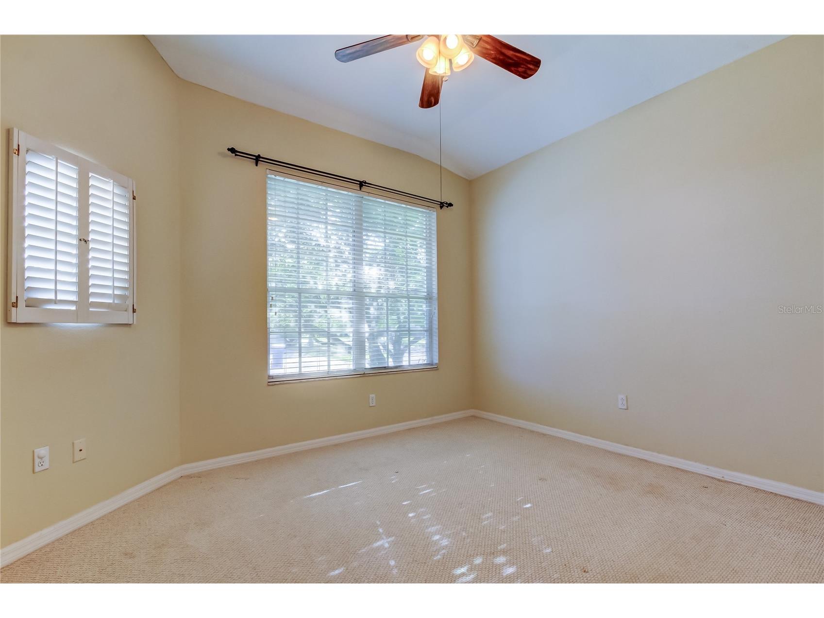 4702 Corsage Drive Lutz FL 33558 TB8480917 image31