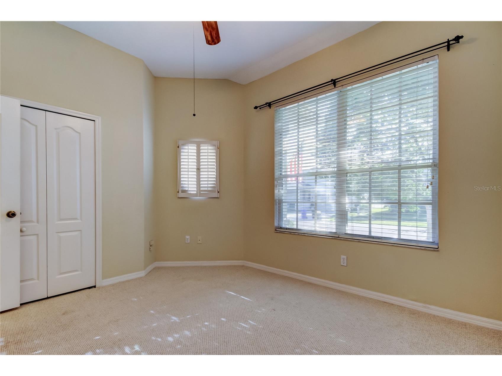 4702 Corsage Drive Lutz FL 33558 TB8480917 image32