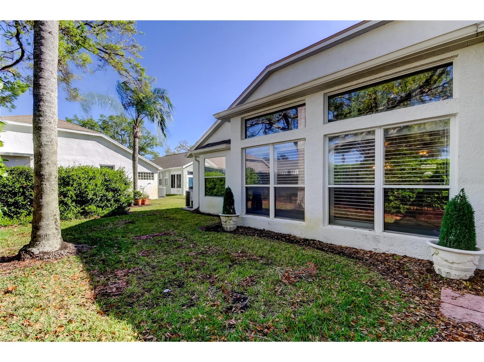 4702 Corsage Drive Lutz FL 33558 TB8480917 image36