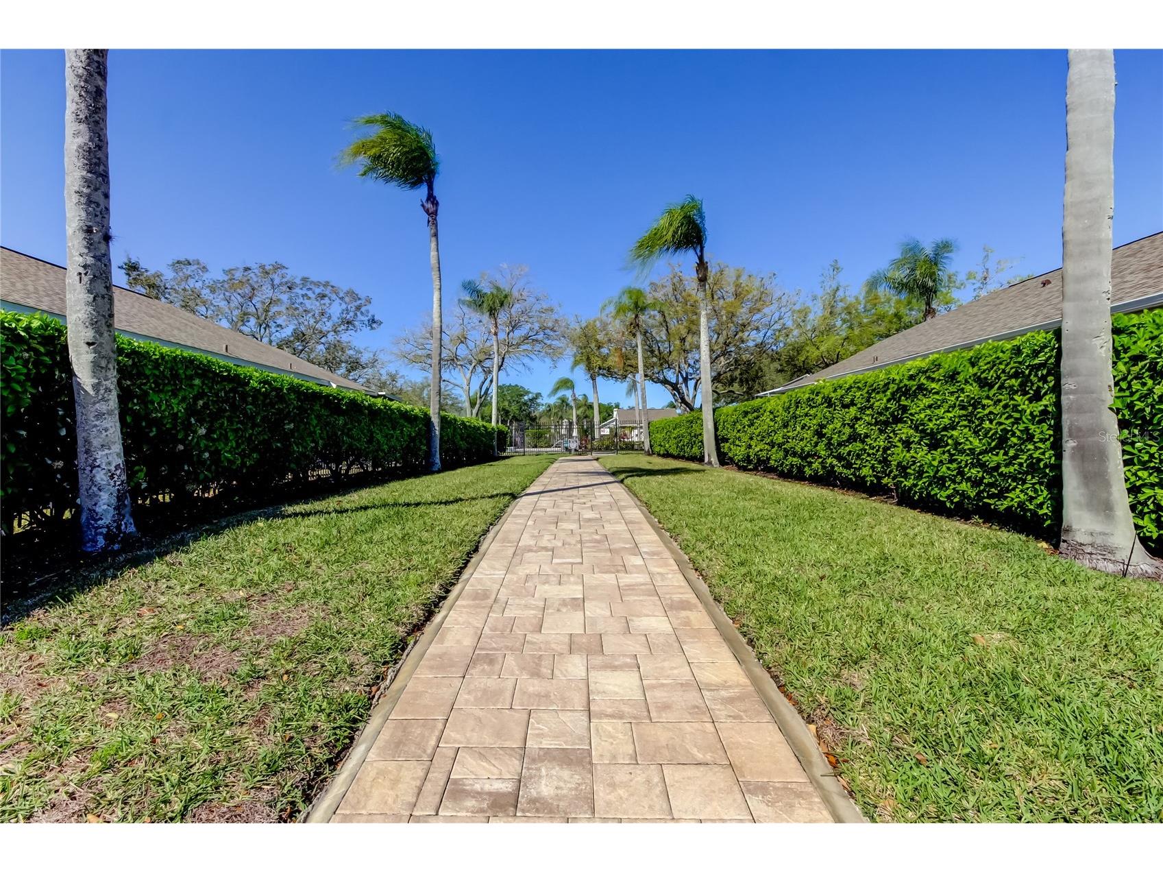 4702 Corsage Drive Lutz FL 33558 TB8480917 image37