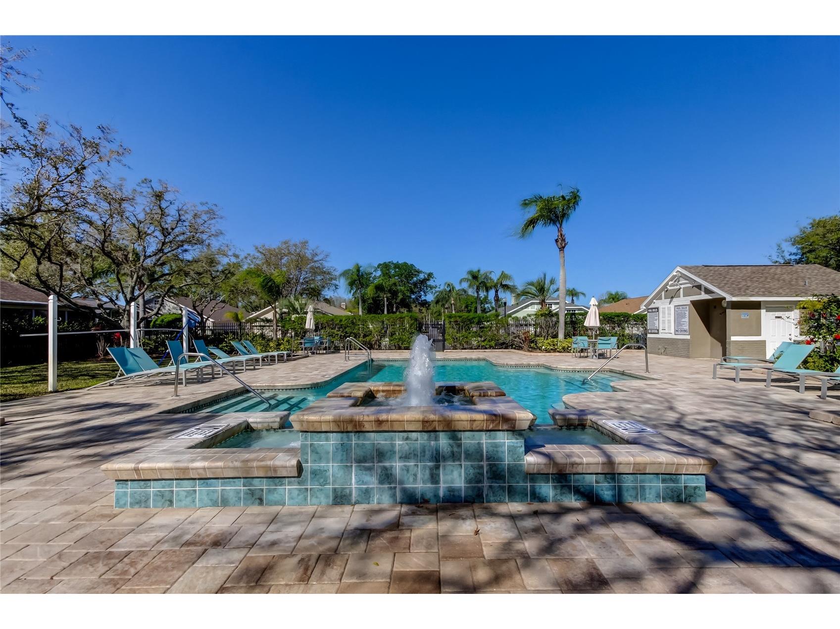 4702 Corsage Drive Lutz FL 33558 TB8480917 image39