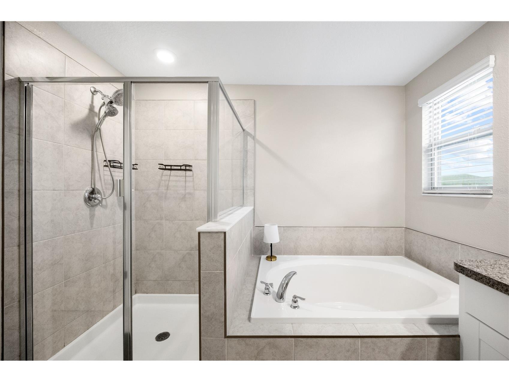 4702 Ron Eddie Place Tampa FL 33619 TB8529099 image27