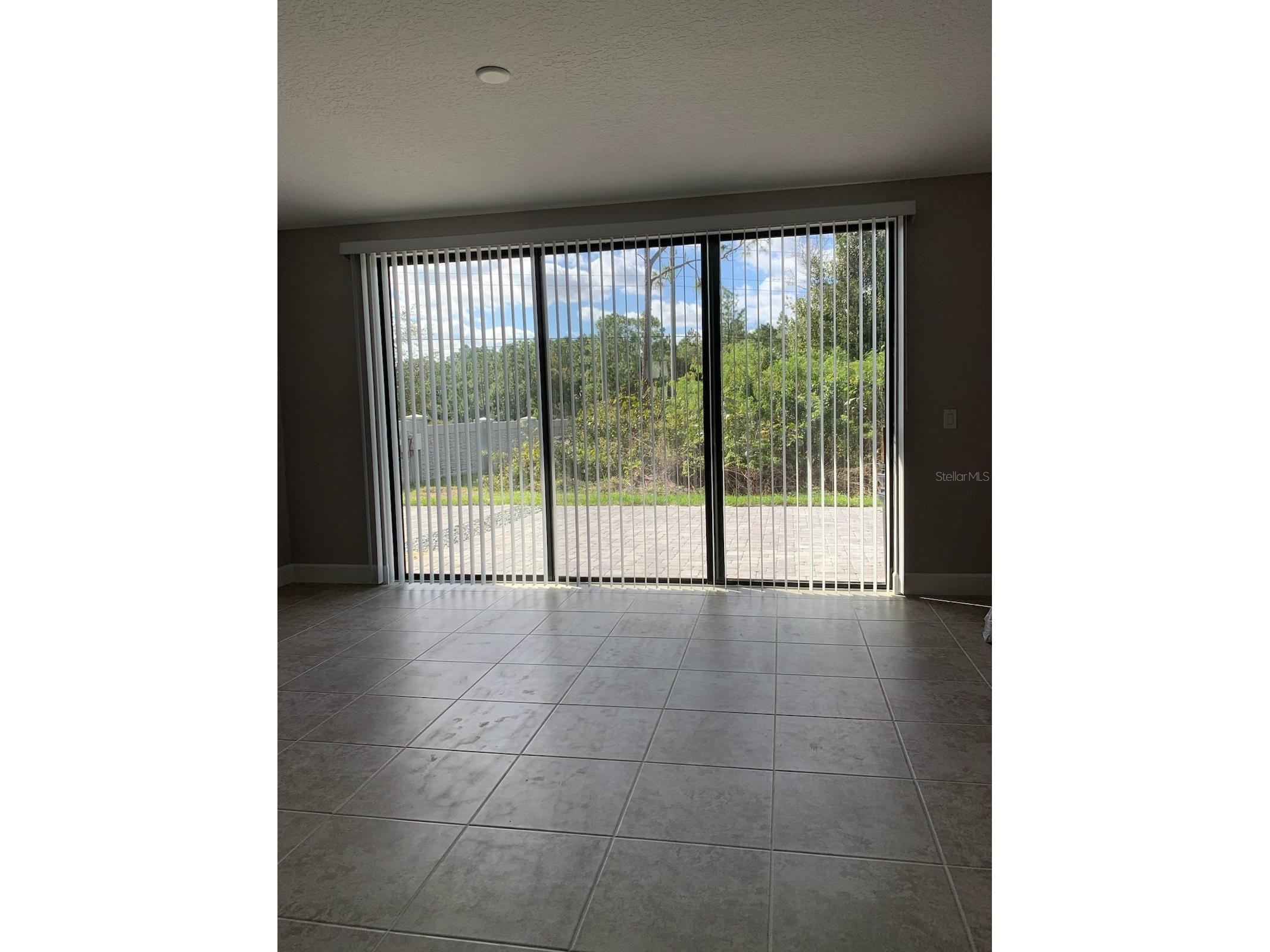 4702 Terra Esmeralda Drive Kissimmee FL 34746 S5152890 image2