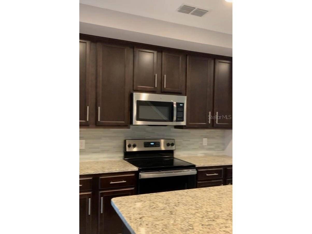 4702 Terra Esmeralda Drive Kissimmee FL 34746 S5152890 image4