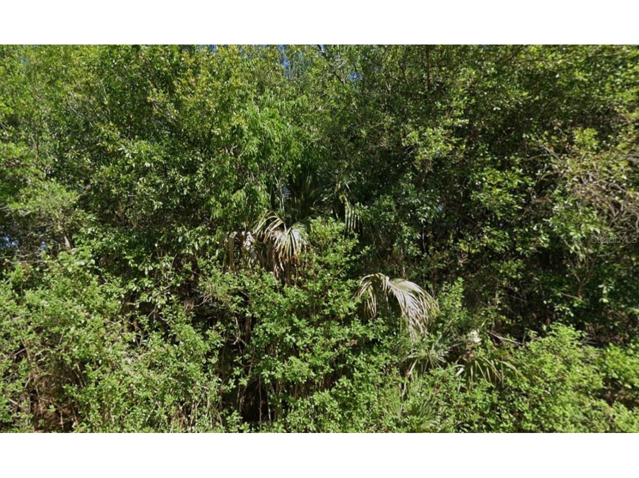 4702 Vera Avenue N Lehigh Acres FL 33971 C7517357 image4