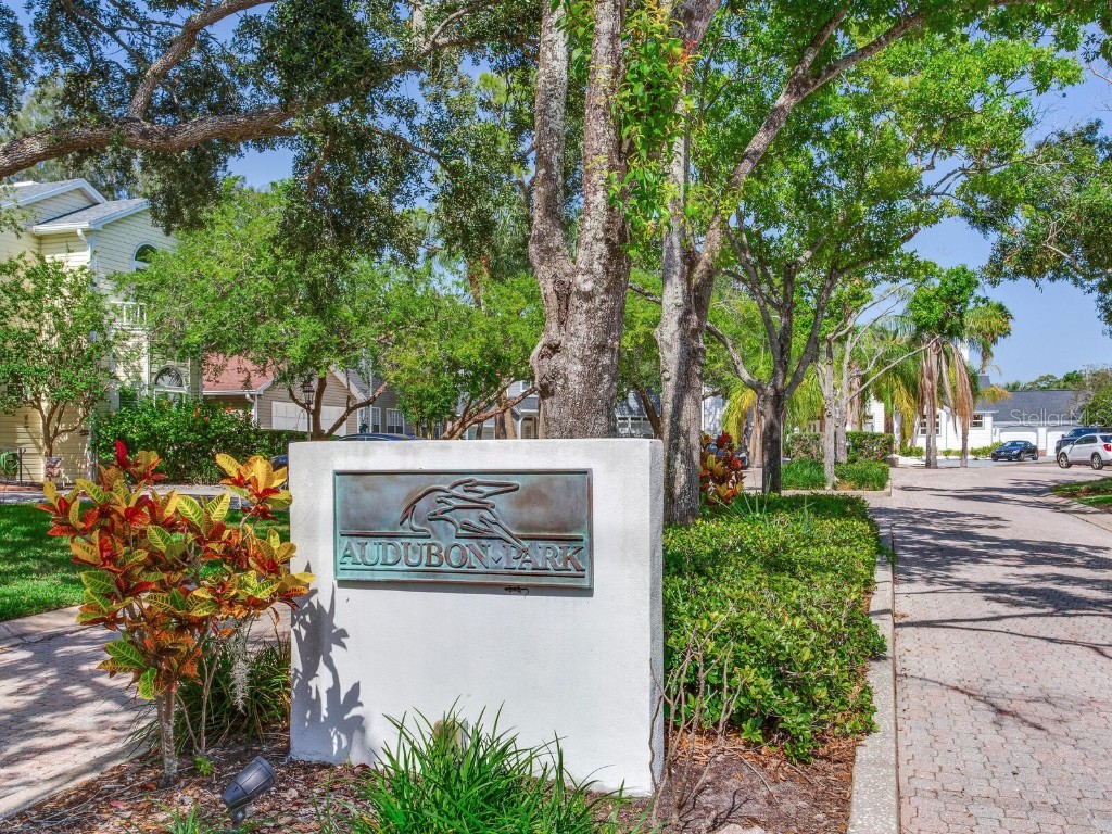 4702 W Heron Lane Tampa FL 33629 TB8387849 image2