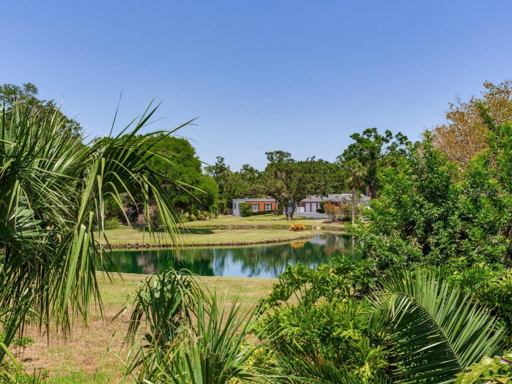 4702 W Heron Lane Tampa FL 33629 TB8387849 image43