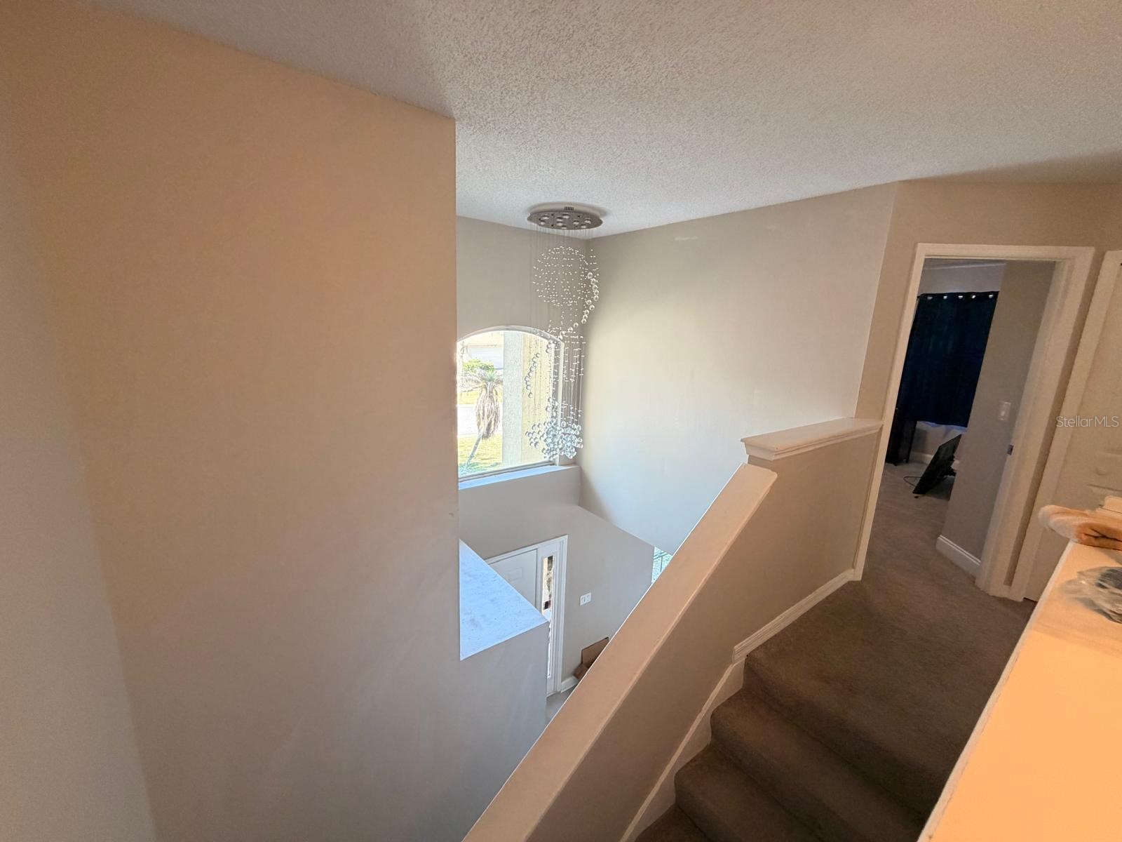 4703 Alexis Drive Kissimmee FL 34746 O6417524 image12
