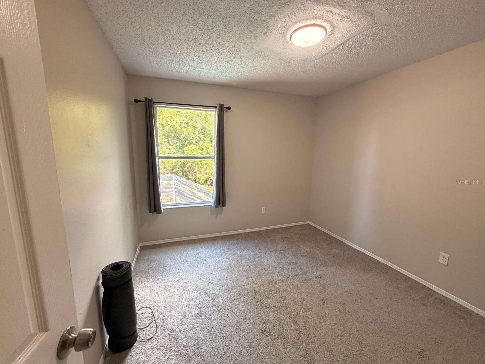 4703 Alexis Drive Kissimmee FL 34746 O6417524 image13