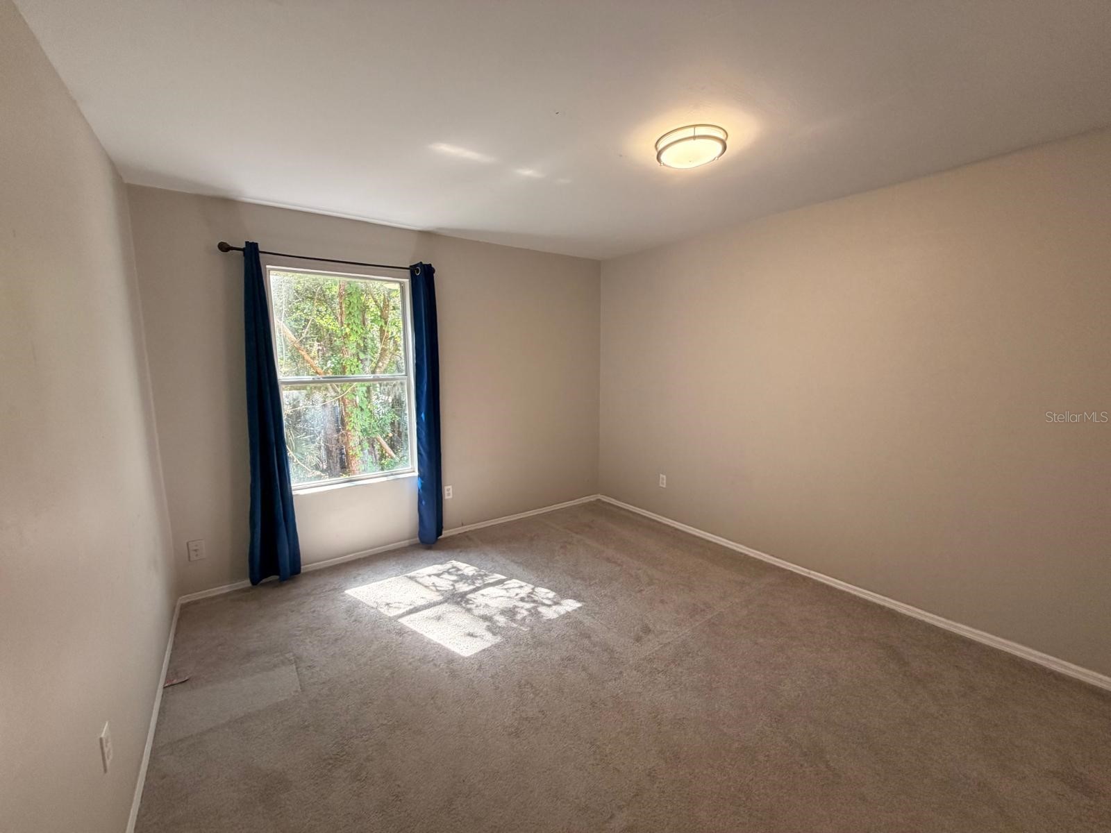 4703 Alexis Drive Kissimmee FL 34746 O6417524 image16