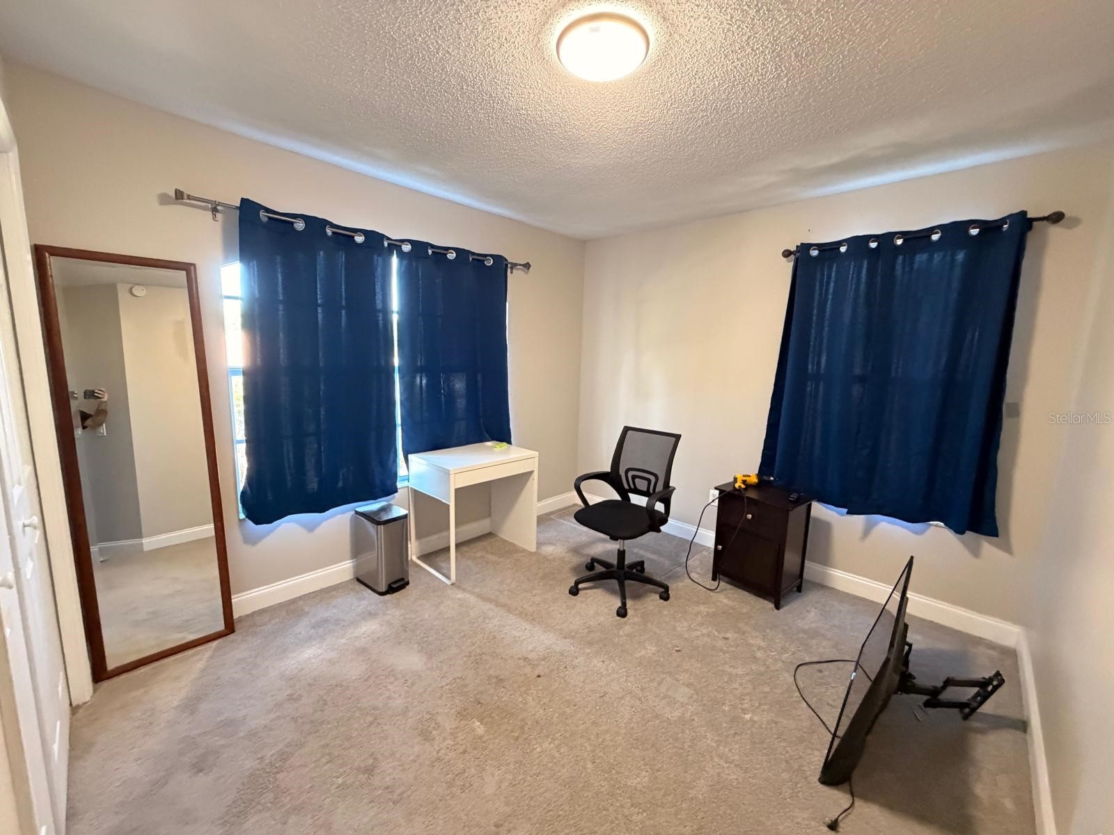 4703 Alexis Drive Kissimmee FL 34746 O6417524 image22