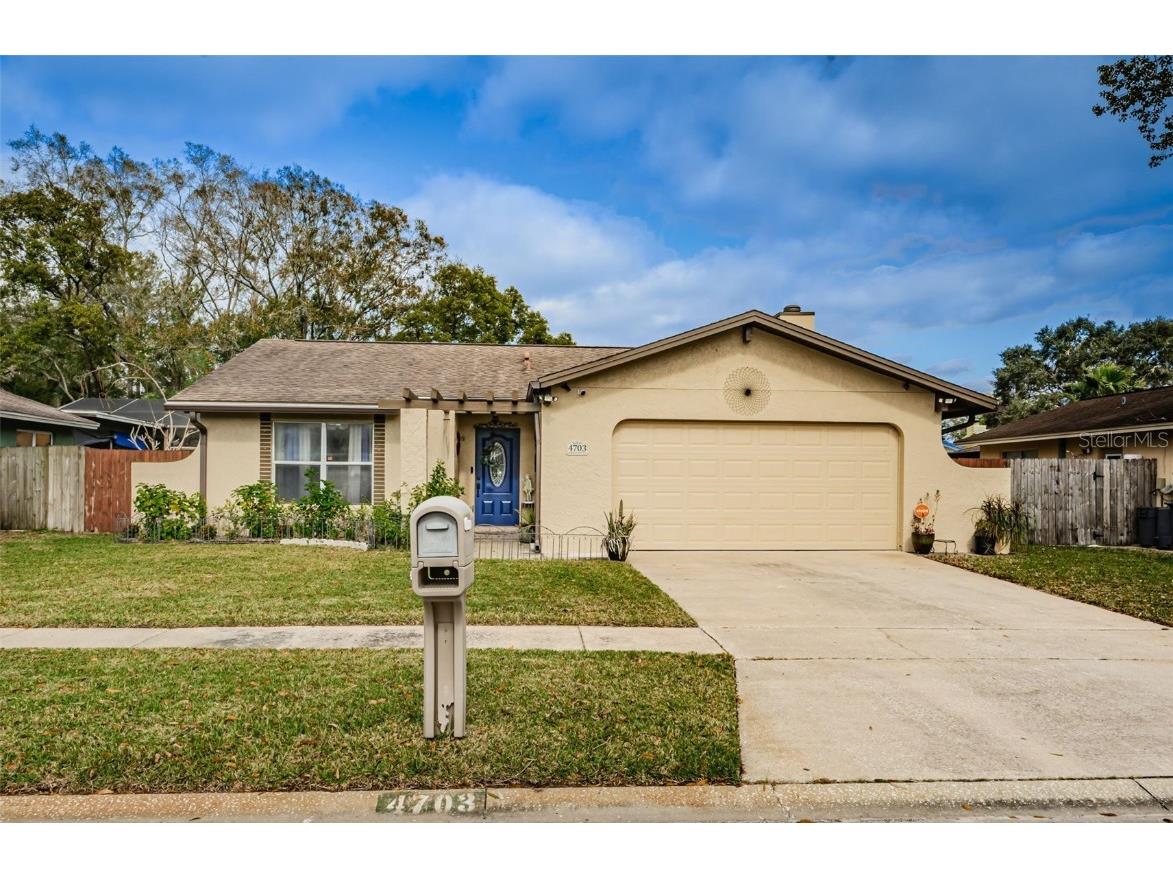 4703 Cypress Tree Drive Tampa FL 33624 T3500245 image1