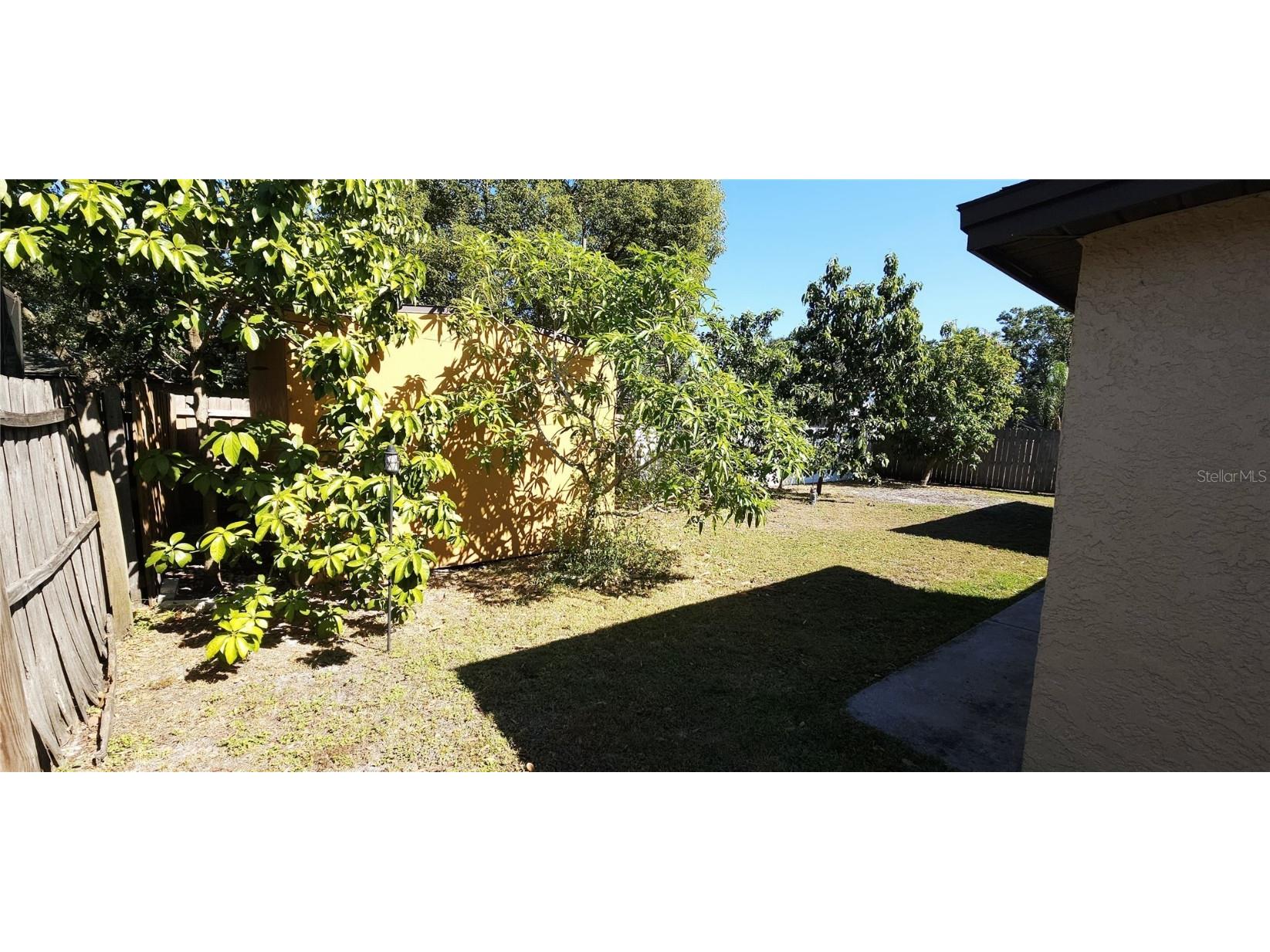 4703 Cypress Tree Drive Tampa FL 33624 TB8457419 image24