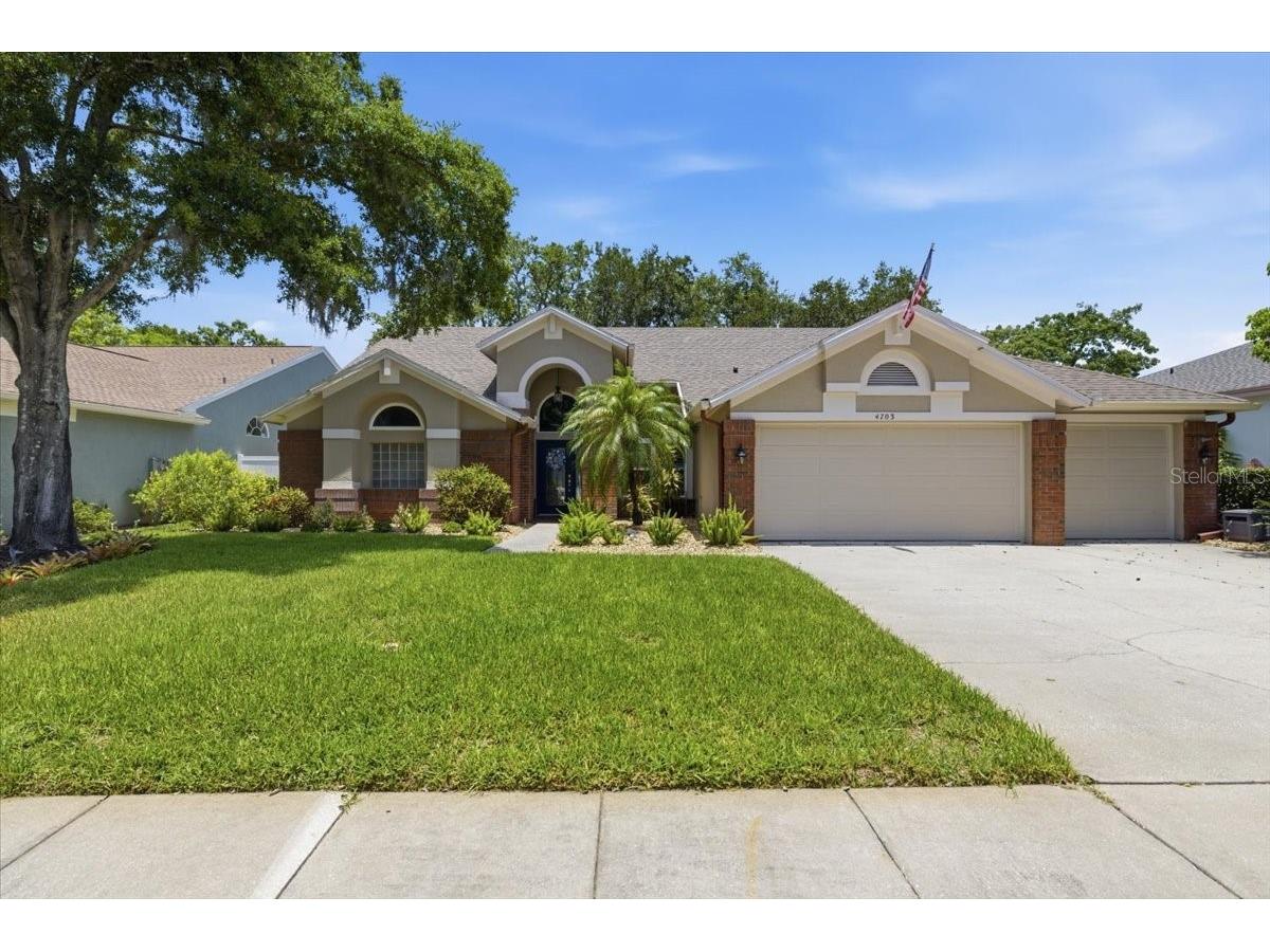 4703 Devonshire Boulevard Palm Harbor FL 34685 TB8518529 image1