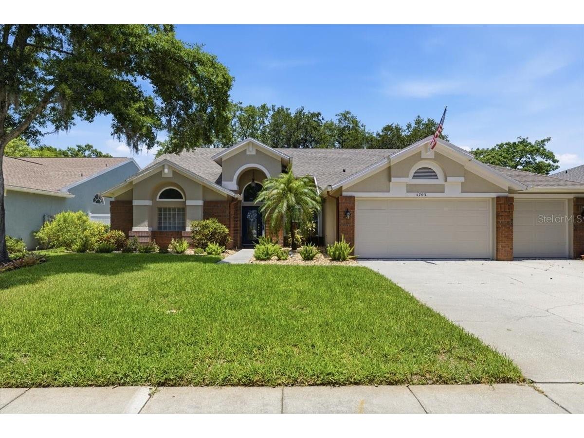 4703 Devonshire Boulevard Palm Harbor FL 34685 TB8518529 image2